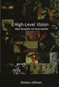 bokomslag High-Level Vision