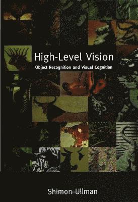 High-Level Vision 1