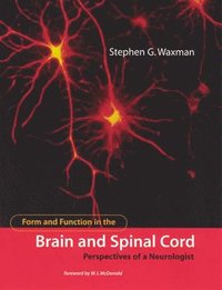 bokomslag Form and Function in the Brain and Spinal Cord