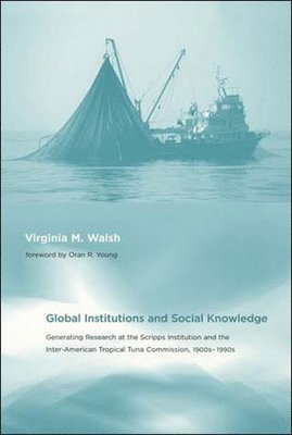 Virginia M. Walsh - Global Institutions and Social Knowledge, Häftad