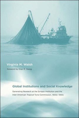 bokomslag Global Institutions and Social Knowledge