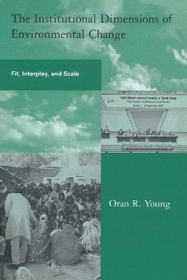 Oran R. Young - Institutional Dimensions of Environmental Change, Häftad