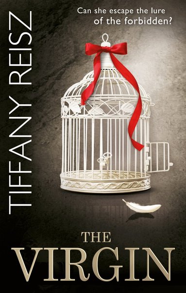Tiffany Reisz - Virgin, Häftad