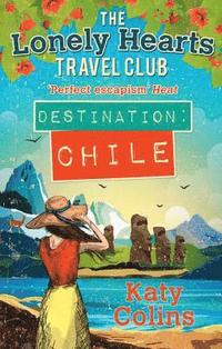 bokomslag Destination Chile