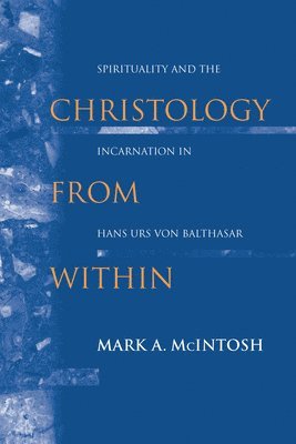 bokomslag Christology from within