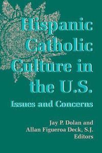 bokomslag Hispanic Catholic Culture in the U.S.
