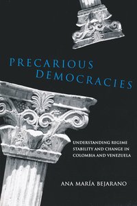 bokomslag Precarious Democracies