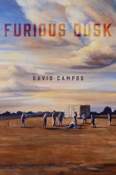 David Campos - Furious Dusk, Häftad