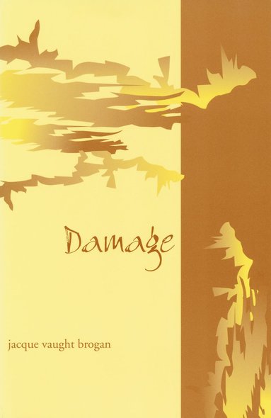 bokomslag Damage