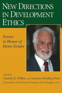 bokomslag New Directions in Development Ethics