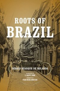 bokomslag Roots of Brazil