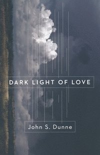 bokomslag Dark Light of Love