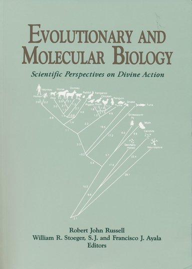 bokomslag Evolutionary and Molecular Biology