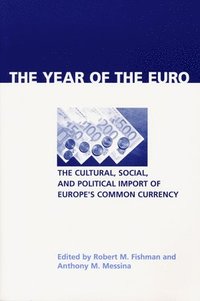 bokomslag Year of the Euro