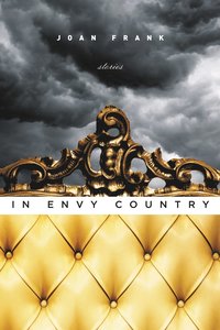 bokomslag In Envy Country