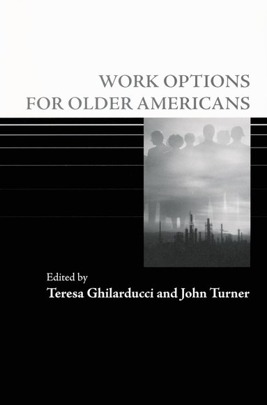 bokomslag Work Options for Older Americans