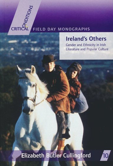 bokomslag Ireland's Others