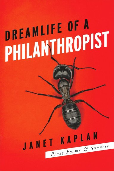 bokomslag Dreamlife of a Philanthropist