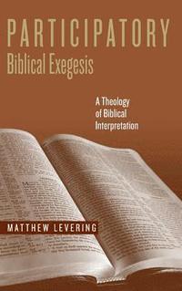 bokomslag Participatory Biblical Exegesis