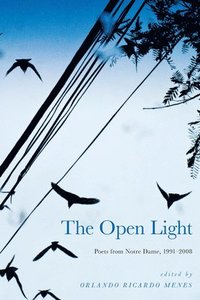 bokomslag The Open Light