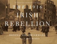 bokomslag The 1916 Irish Rebellion