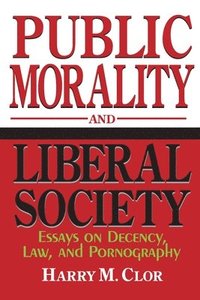 bokomslag Public Morality and Liberal Society