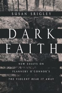 bokomslag Dark Faith