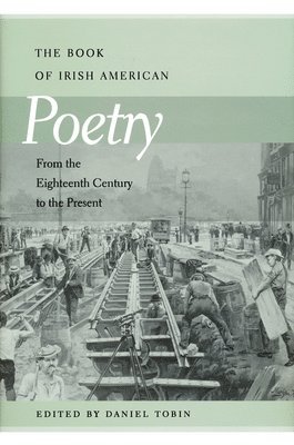 bokomslag Book of Irish American Poetry