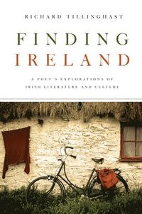 bokomslag Finding Ireland
