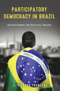 bokomslag Participatory Democracy in Brazil