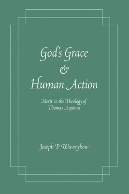 bokomslag God's Grace and Human Action
