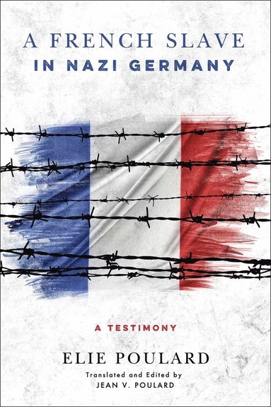 bokomslag French Slave in Nazi Germany