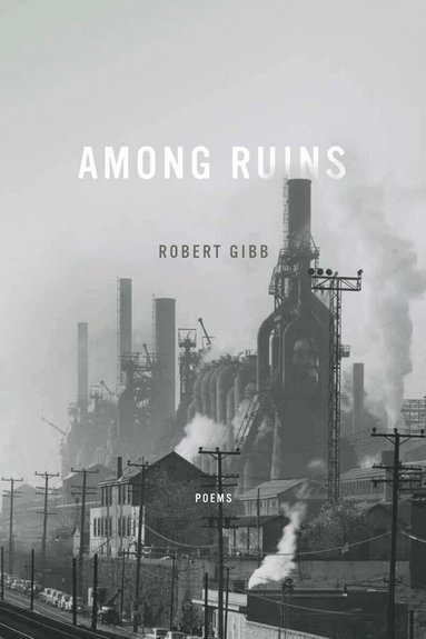 Robert Gibb - Among Ruins, Häftad