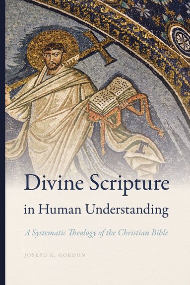 bokomslag Divine Scripture in Human Understanding