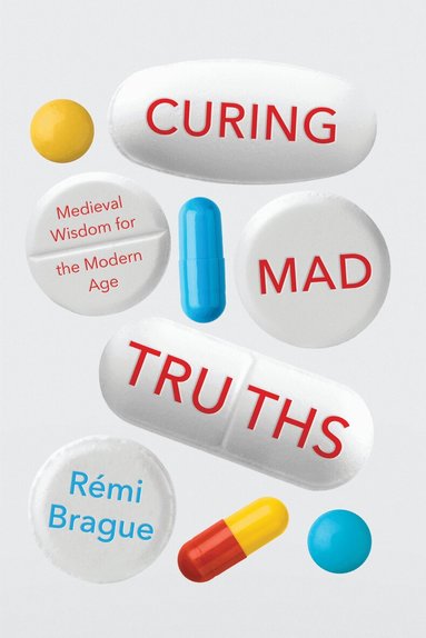 Rémi Brague - Curing Mad Truths, Inbunden