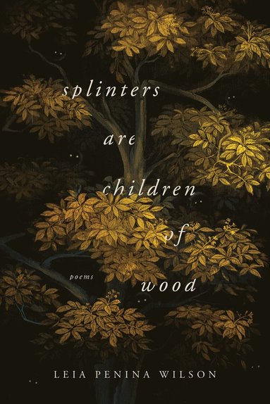 bokomslag Splinters Are Children of Wood