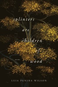 bokomslag Splinters Are Children of Wood