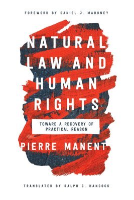bokomslag Natural Law and Human Rights