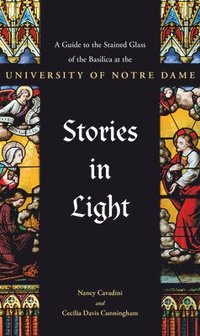 bokomslag Stories in Light