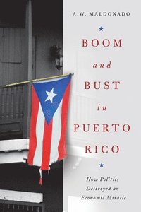 bokomslag Boom and Bust in Puerto Rico