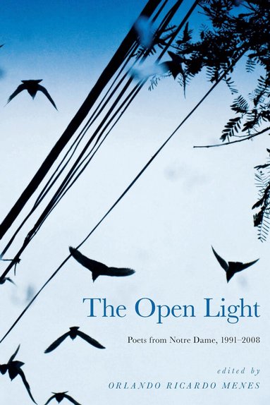 Orlando Ricardo Menes - Open Light, Inbunden