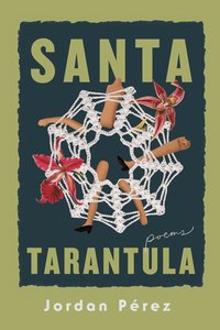 bokomslag Santa Tarantula