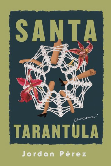 bokomslag Santa Tarantula