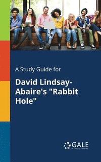 bokomslag A Study Guide for David Lindsay-Abaire's &quot;Rabbit Hole&quot;