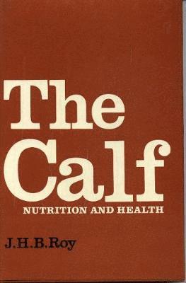 Calf 1