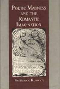 bokomslag Poetic Madness and the Romantic Imagination