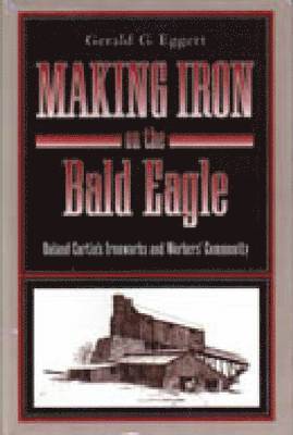 Making Iron on the Bald Eagle 1