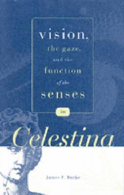bokomslag Vision, the Gaze, and the Function of the Senses in 'Celestina'