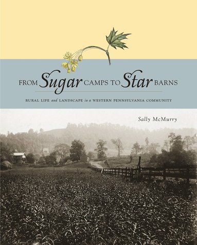 bokomslag From Sugar Camps to Star Barns