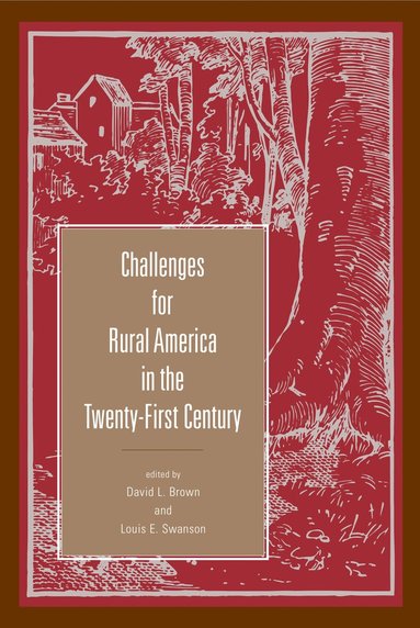 bokomslag Challenges for Rural America in the Twenty-First Century